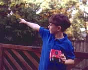 Bird Watching