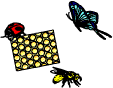 bugs