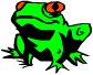 A Frog