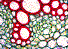 microscope