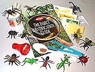 Insects science kit