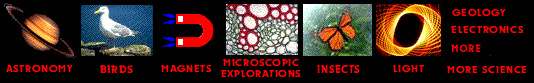 Homeschool Science Topics